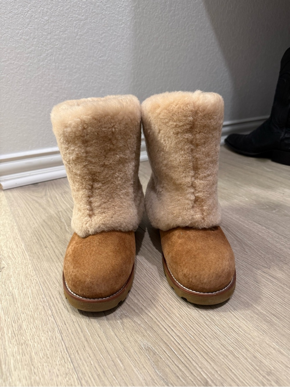 UGG Women's Chestnut Shearling Suede Winter Boots